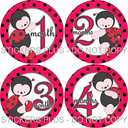 Baby Girl Month Stickers Monthly Baby Milestone Stickers Cute Ladybug Lady Bug Dots Red Black II
