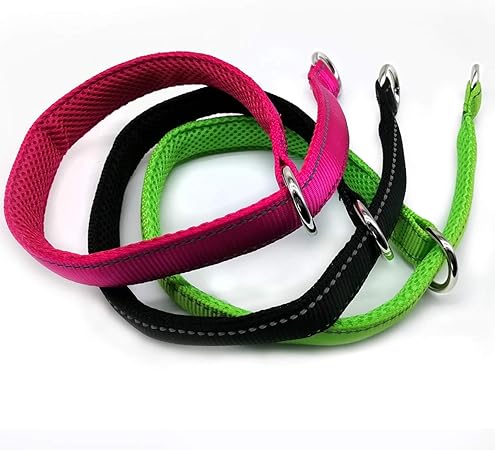 dog training slip collar