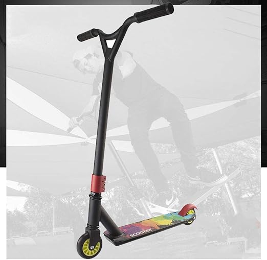 2 wheeled scooter stand up