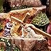 The Bradford Exchange Thomas Kinkade Christian Tabletop Home Decor: Faith Mountain