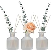 HOSSIAN Reed Diffuser-3pcs Reed Diffuser Empty Bottles with 28pcs Reed Diffuser Sticks- Refillable Diffuser Bottles -Diffuser Jars for Home Oil Fragrance Decoration Girl Women Gift(Frosted Glass)