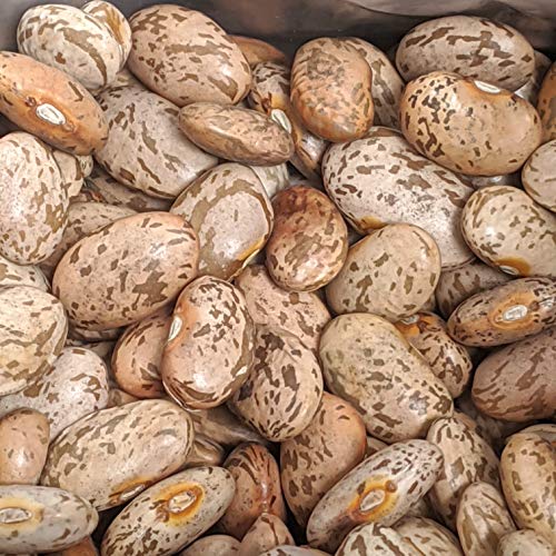 FOTS Pinto Beans Dry Bulk (16 Pounds) Perfect Refried Beans, USA