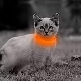 YFbrite LED Cat Collar Small Dog Collar USB Rechargeable Orange XS view 2