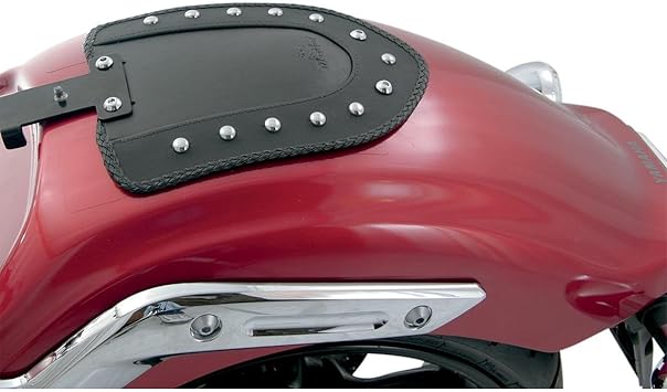 custom tank bibs harley