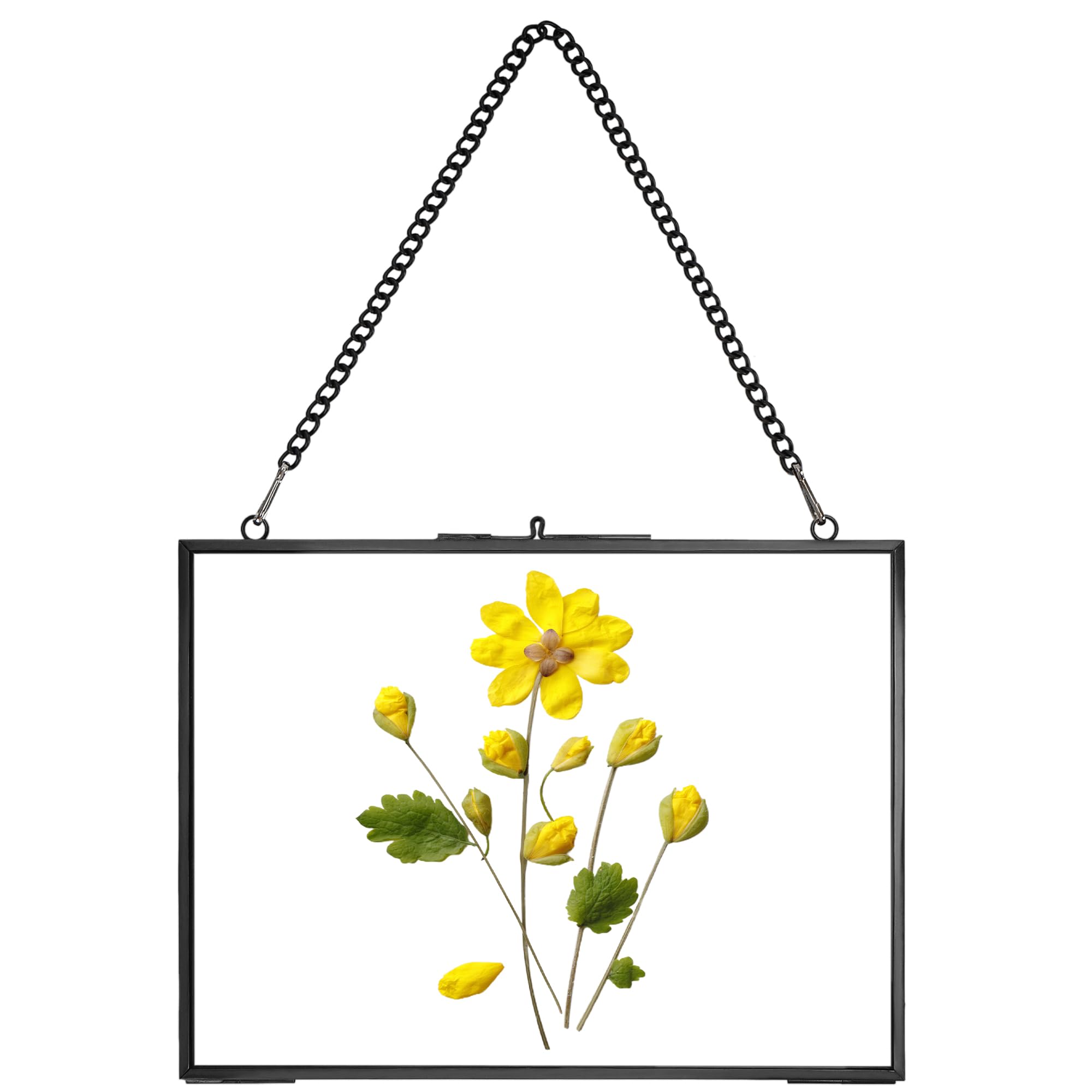 REDHUGO Hanging Pressed Flower Frame Handmade, Double Glass Picture Frame Floater frame Floating Frame for Pressed Flowers Home Wall Artwork, Rectangle Horizontal 6×8 inches, Black