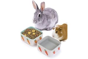 JanYoo Rabbit Accessories Chinchilla Food Bowl and Water Bowls Feeding Ceramic Set for Bunnies Cage Blue Grey (2 Pack)