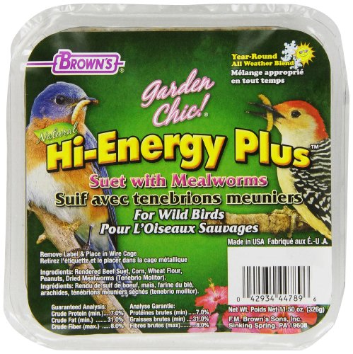 Garden Chic! Hi-Energy Plus w/Mealworms Suet Cake