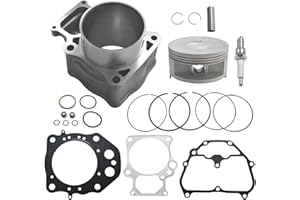 GOIRTUTSS Upgrade Cylinder Piston Top End Kit W/sealant fit for Honda 2012-2019 TRX500 FM/FE/FPE/FPM Fourtrax Foreman, 2015-2019 TRX500 FA/FM Foreman Rubicon 500 4x4, 2015-2021 SXS500M2 Pioneer 500