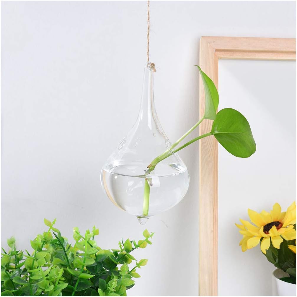 Hanging Glass Globe Plant Terrariums Plant Succulents Moss