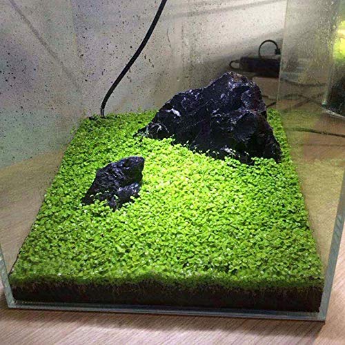 3Pack Aquarium Small Leaf Grass, Aquarium Carpet Help Creates Lush