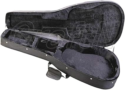 how to clean mold from leather bag