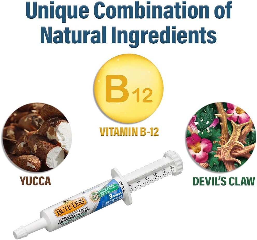 Bute-Less Comfort & Recovery Supplement Paste, 1oz Syringe / 3 Doses: Sports & Outdoors