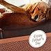 Hallmark Father's Day Card (Sleeping Dog, Relaxing Days), 5.8