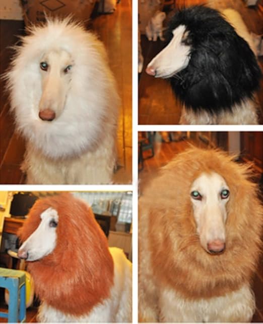 Amazon Cmで話題 愛 犬 が ライオン に ペット用 ウィッグ 着ぐるみ コスチューム たてがみ ネックウォーマー ゴールドブラウン Rums コスチューム 通販