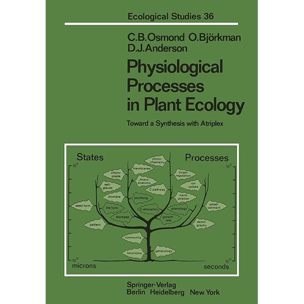 Amazon.com: Physiological Plant Ecology: Ecophysiology and Stress