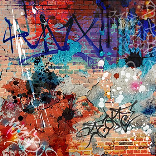 Graffiti Wall Decals Over 6 Unique Designs to Choose From Funk This