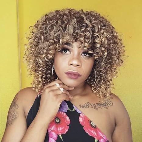 Aisi Hair Synthetic Afro Curly Hair Wigs Brown Blonde Mixed Wig