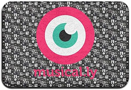 QiBePlo Music Multi-Purpose Anti-Slip And Utility Floor Mat This Mat Keeps Mud, Dirt And Rain Outside Your House