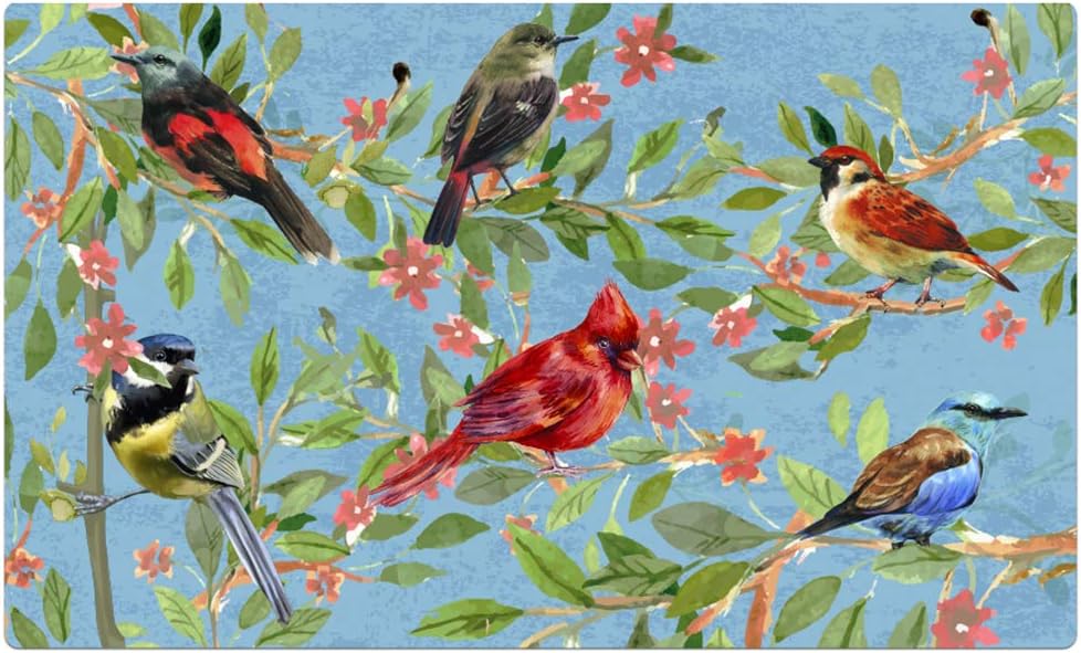 Morning View Colorful Spring Flower Bird Doormat 29 x 17 Indoor Outdoor Easy Clean Low-Profile Non Slip Door Mats Front Door Entry Garage Patio High Traffic Areas