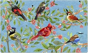 Morning View Colorful Spring Flower Bird Doormat 29 x 17 Indoor Outdoor Easy Clean Low-Profile Non Slip Door Mats Front Door Entry Garage Patio High Traffic Areas