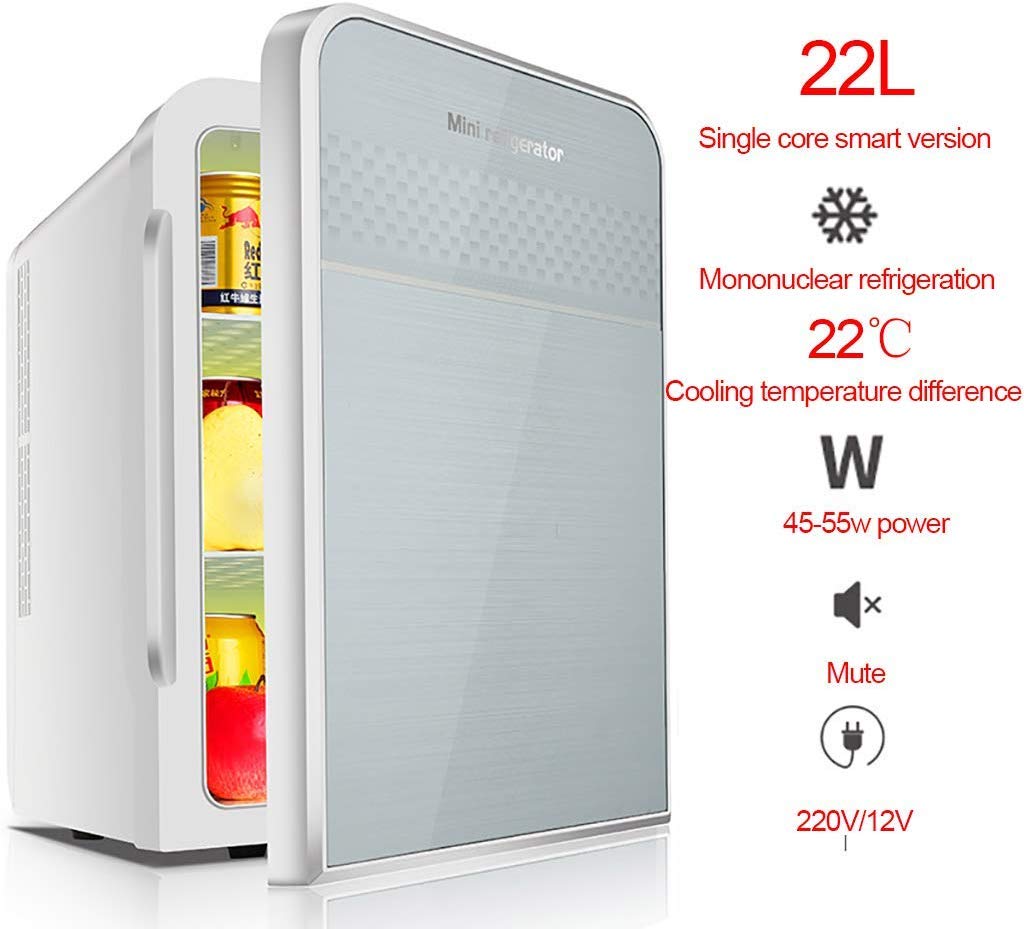 GWFVA Mini refrigerador silencioso 22L Cooler and Warmer 12V ...