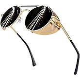 Retro Round Polarized Steampunk Sunglasses Men Women Side Shield Goggles Gothic S92-ADVANCED POLARIZED