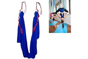 wellsem Aerial Yoga Hammock 5.5 Yards Yoga Swing Pilates Silk Home Fitness Include Carabiner,Daisy Chain, Pose Guide