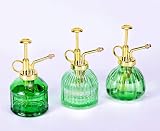 Eidoct Green Gold Glass Plant Mister Spray Bottle 7 Oz 6.5" Top Pump view 8