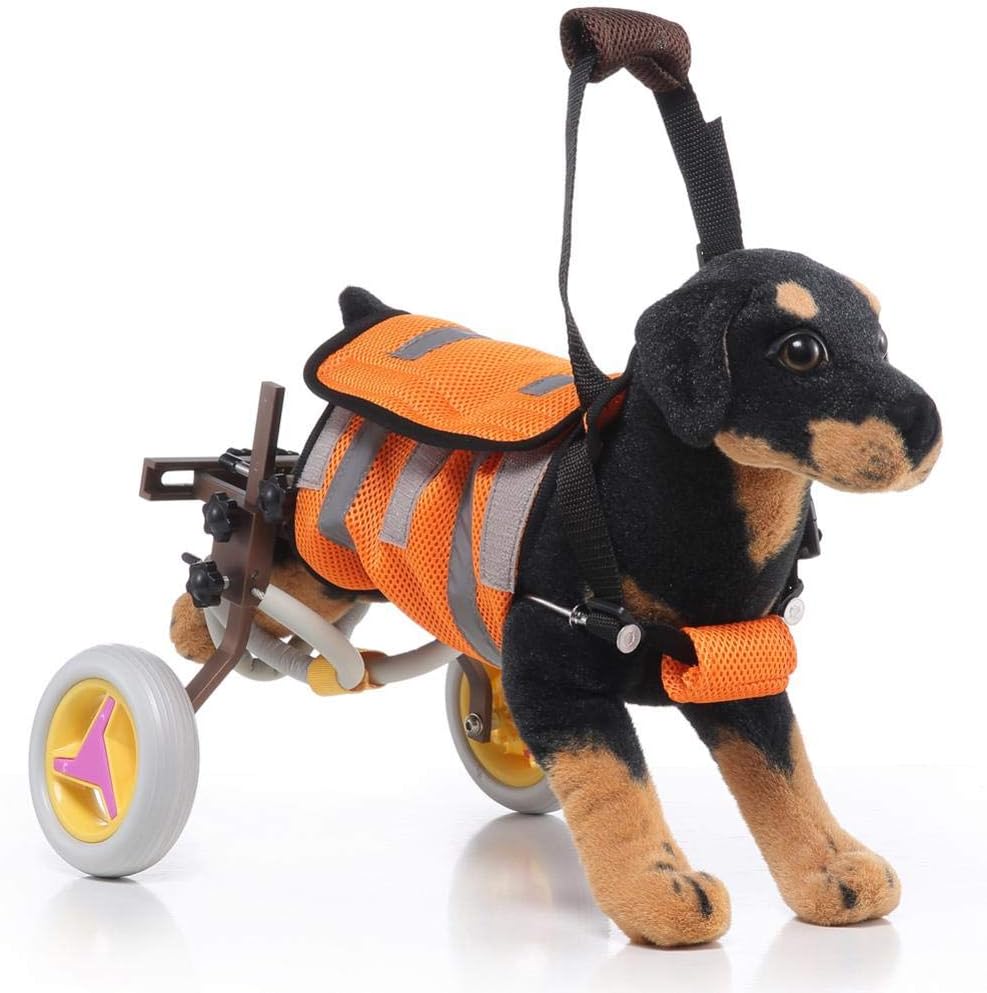 sedie a rotelle bassotto