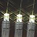 Novelty Lights 34 Feet Long, 100 LED Mini Black Wire Christmas Lights, Warm White, End to End Connectable, UL Listed for Indoor/Outdoor Use