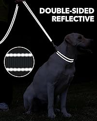 Taglory Dog Leash for Medium Large