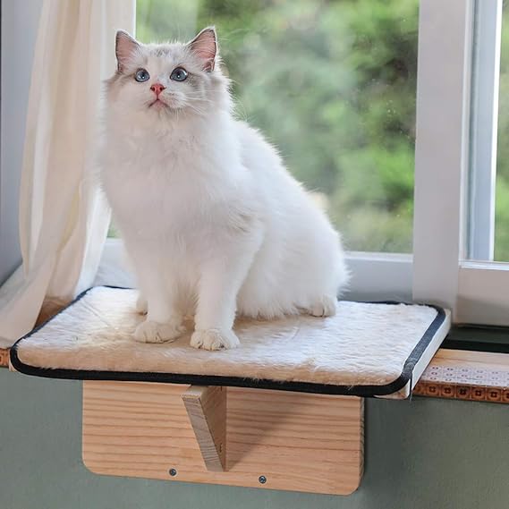 Petsfit Safety Sturdy Cat Window Perch, Without Damage Window and Adjustable to Fit Window Sill