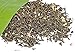 Tealyra - Jasmine Black - Rare Black Loose Leaf Tea - Best Chinese Jasmine Tea - Medium Caffeine - 110g (4-ounce)