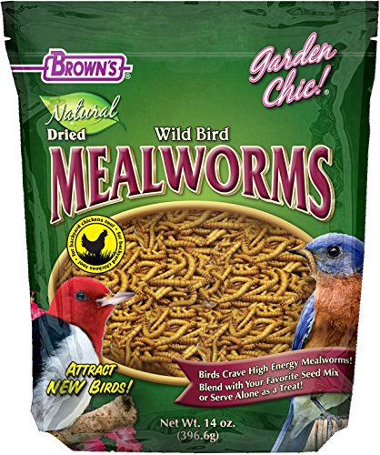 F.M. Brown's Garden Chic Mealworms - Image 7