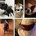 Berry Pet Sharp Spiked Studded Dog Collar - Stylish Leather Dog Collars - 2 Inch in Width Fit for Medium & Large Dogs - Such as Pitbull Mastiff - Black Rivets & Red Leather,17-20