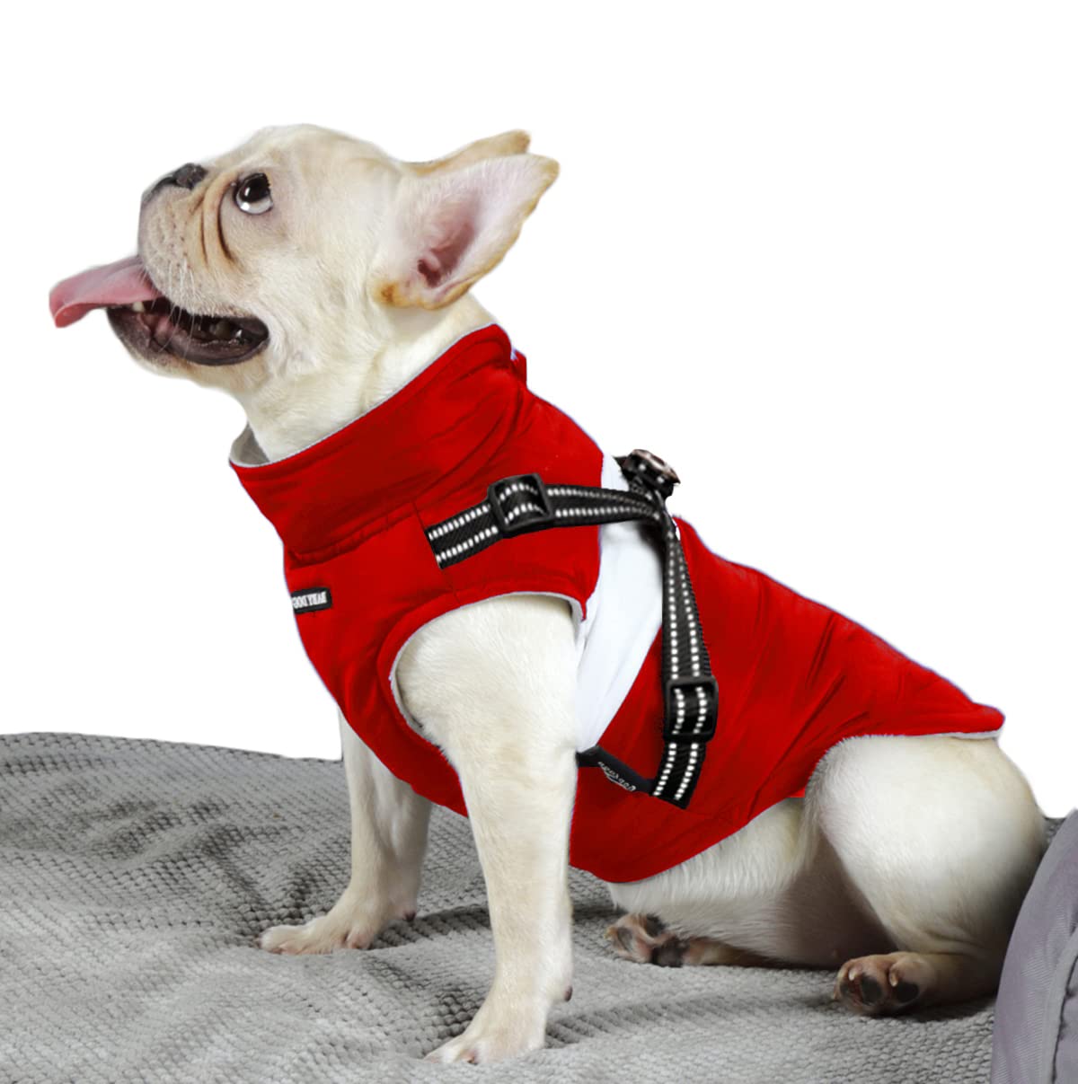 BabyDog Dog Vest Coat with Fleece Lining, Harness with Ring, Adjustable Zipper Sleeveless (M, 199 Red)