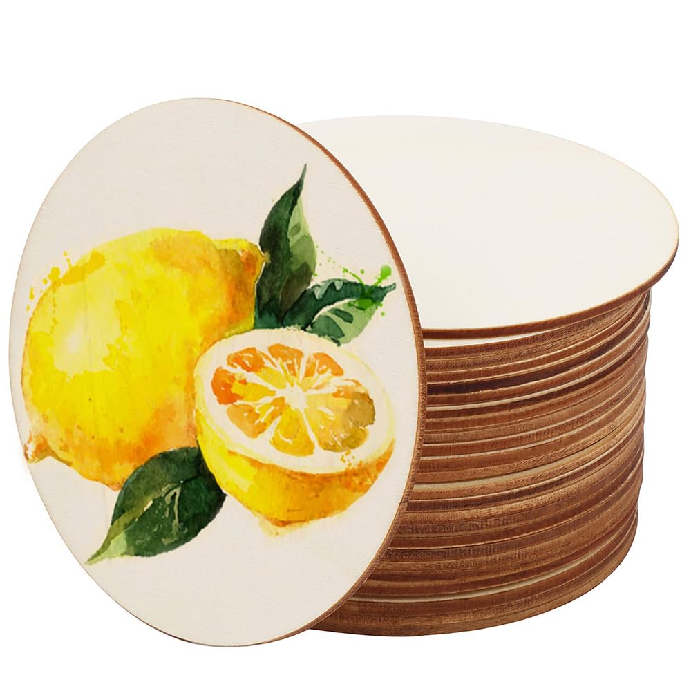 Round Wooden, Unfinished Wood Circles Round, Unfinished Blank Wood, Blank Wood, for Decoration, Coasters, Crafts, Painting, DIY (20PACK, 10CM)