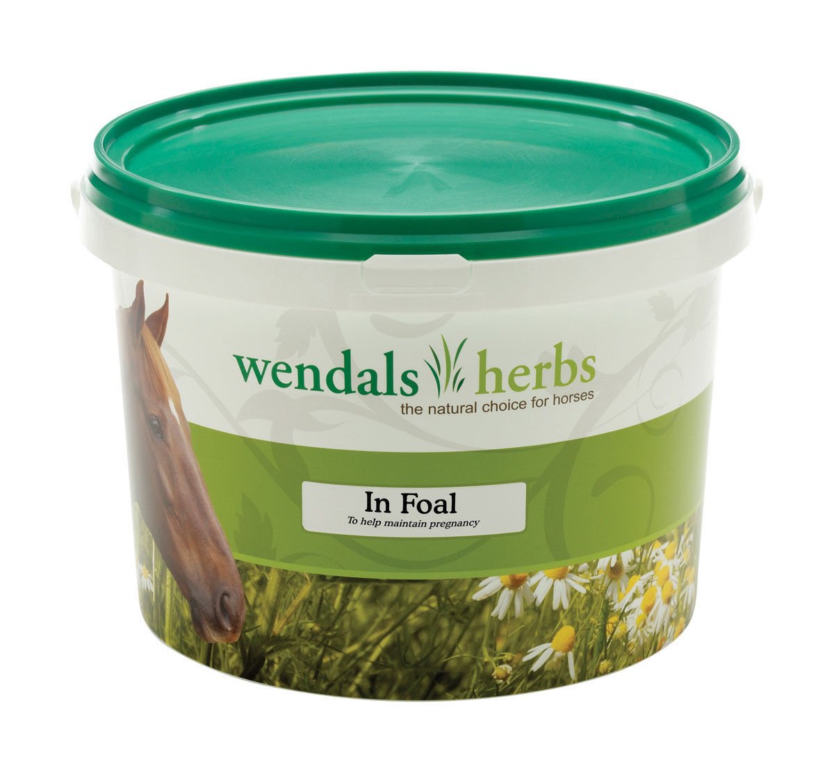 Wendals In Foal - 1kg