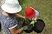 ECOgardener Grow Bags Plant Pots 5 Pack 5 Gallon wth Handles Premium Quality Raised Bed Fabric Planter