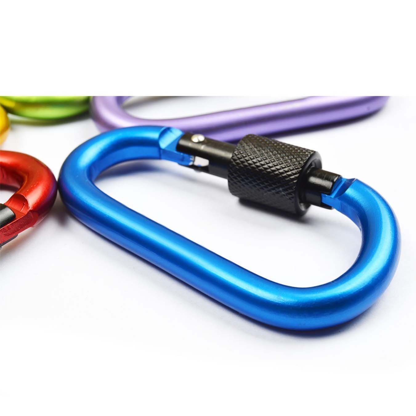 Onwon Aluminum Carabiner D-Ring Locking Key Security Camping Climbing Hiking Keychain ( 10 PCS): Beauty