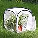 Insect and Butterfly Habitat Cage Terrarium Pop-up 12 X 12 X 12 Inches