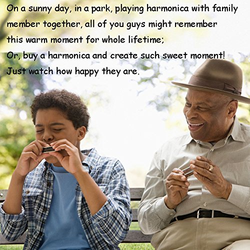 image for HIGO TOY 10 Hole 20 Tones Harmonica Key of C blues, folk and pop Best 