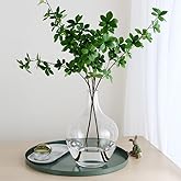 Ryddelighome Large Clear Glass Vase 12 Inch - Round Glass Vase for Flowers, Clear Round Vase Pampas Grass Decor, Glass Jar Table Centerpiece Home Decor