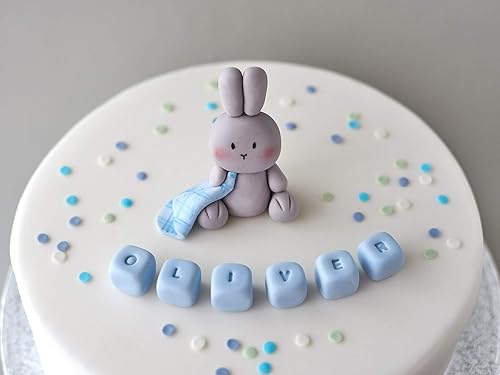 Amazon Com Cute Bunny Block Letters Cake Topper Fondant Cake