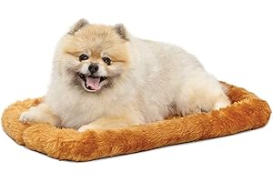MidWest Homes for Pets Bolster Dog Bed 54cm x 33cm x 6cm Dog Bed or Cat Bed with Comfortable Bolster, Ideal for Small Dog Bre
