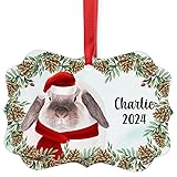 Brown Pointed Mini Lop Rabbit Christmas Ornament