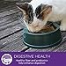 Wellness Signature Selects Natural Canned Grain Free Wet Cat Food, Chunky Turkey & Chicken, 2.8-Ounce Can (Pack Of 24)
