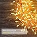 Cluster  String Lights 10FT 300LEDs,Homestarry Decorative Wreaths  Lights with Dimmable Remote Control and Outdoor/ Indoor Waterproof Copper Wire Fairy lights Christmas String Lights (Warm White)