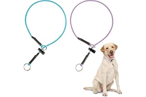 FURSDOLY No Pull Dog Collar 18'' Training Dogs Collars for Dogs - 1000lb Paracord 5/32" Thin Reflective Martingale Pet Collar with Adjustable Stopper & Sturdy Stainless Stell O-Ring (Light Blue & Purple)