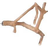 A&amp;E Cage Co. Java Wood Multi Branch Perch - Small - 16 in. x 1.2 in.